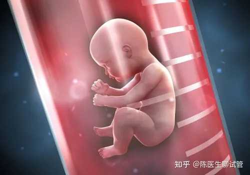 云南捐卵供卵中心|2023
年最新石家庄供卵试管助孕医院排名-内附石家庄供卵现