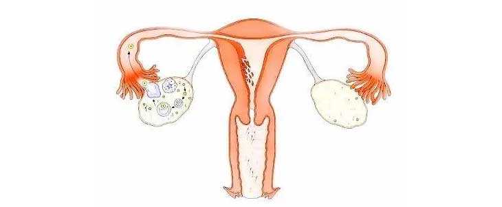 昆明代孕网排行榜,朝阳试管婴儿对女性身体伤害大吗？对卵巢有影响吗？-种植